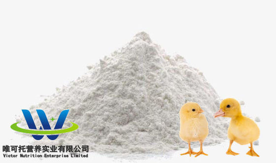飼料品級 HCl 硫酸 L リシン 98.5% 70% 飼料添加物品級 注文可