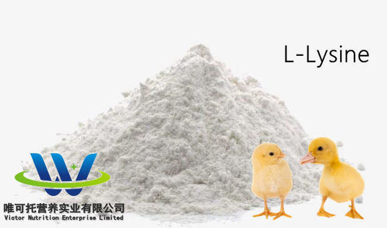 飼料品級 HCl 硫酸 L リシン 98.5% 70% 飼料添加物品級 注文可
