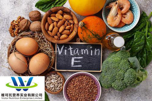 包装材料 紙 混合トコフェロール 90% 自然 ビタミンE 食品添加物 ET-90